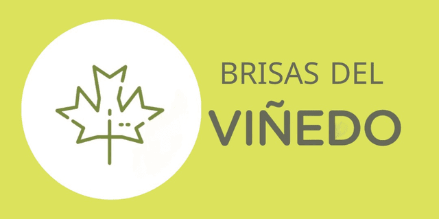 Logo Brisas del Viñedo